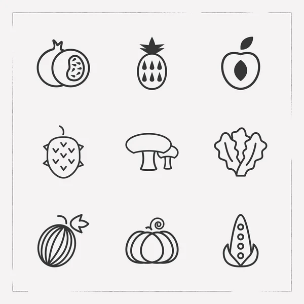 Conjunto de símbolos de estilo de linha de ícones de frutas com alface, lichia, pêssego e outros ícones para o design do logotipo do aplicativo móvel da web . —  Vetores de Stock