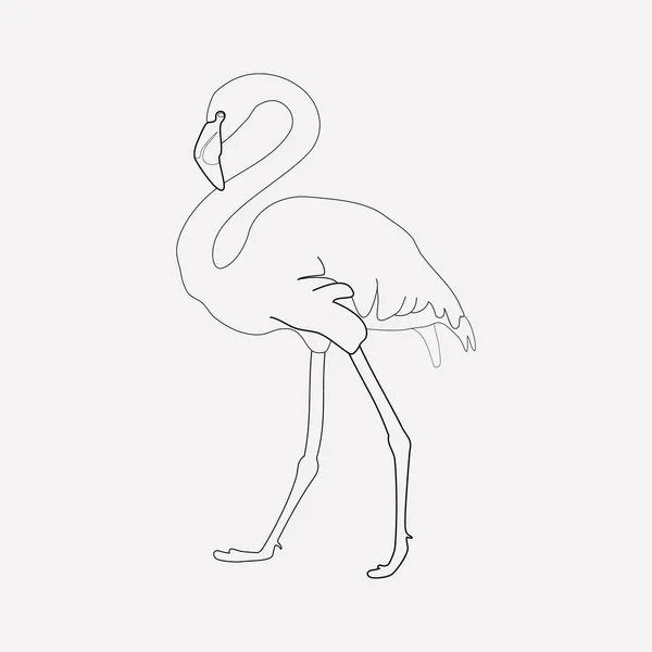 Flamingó ikon vonal elemet. Flamingó ikon vonal elszigetelt tiszta háttér a web mozgatható app logo design vektor illusztráció. — Stock Vector
