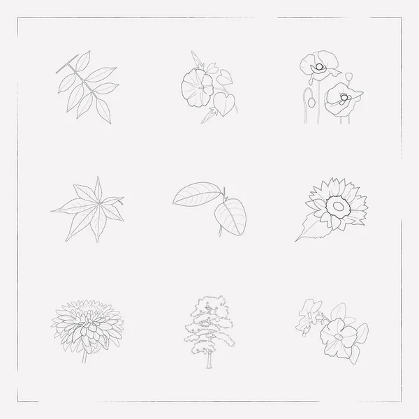 Set flora pictogrammen lijn stijl symbolen met ash blad, zonnebloem, chrysant en andere pictogrammen voor uw web mobiele app logo ontwerp. — Stockvector