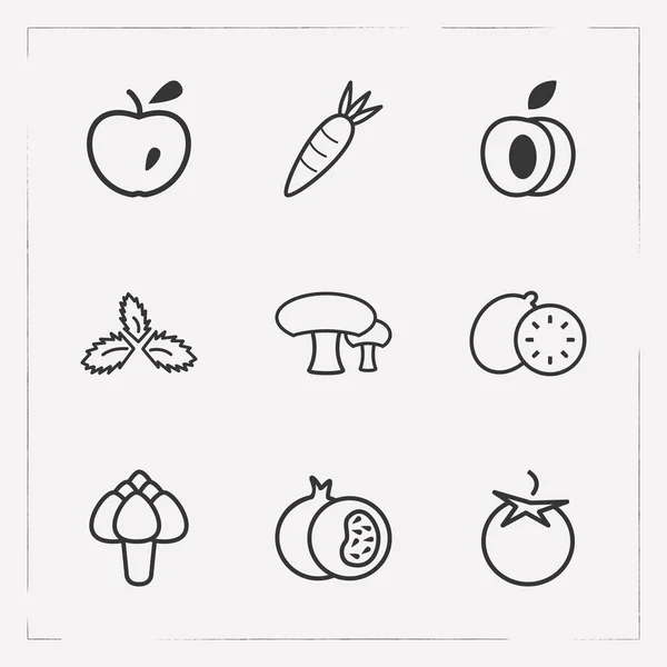 Conjunto de iconos de vitaminas símbolos de estilo de línea con setas, alcachofas, manzanas y otros iconos para el diseño del logotipo de su aplicación móvil web . — Archivo Imágenes Vectoriales