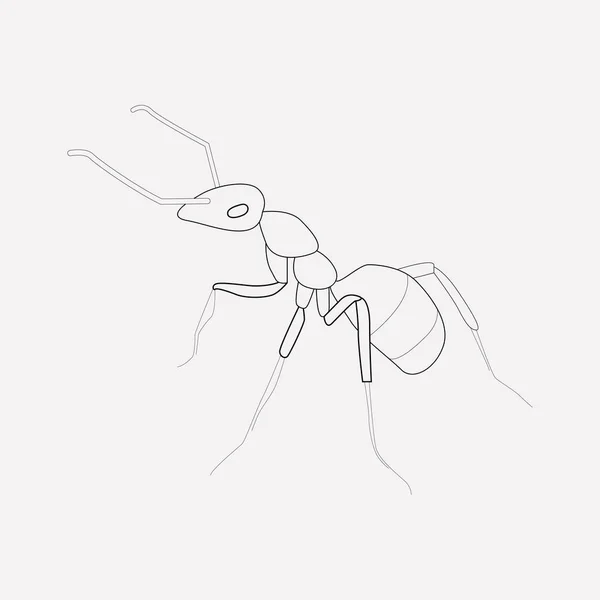 Ant icon line element. Vector illustration of ant icon line isolated on clean background for your web mobile app logo design. — Stock Vector