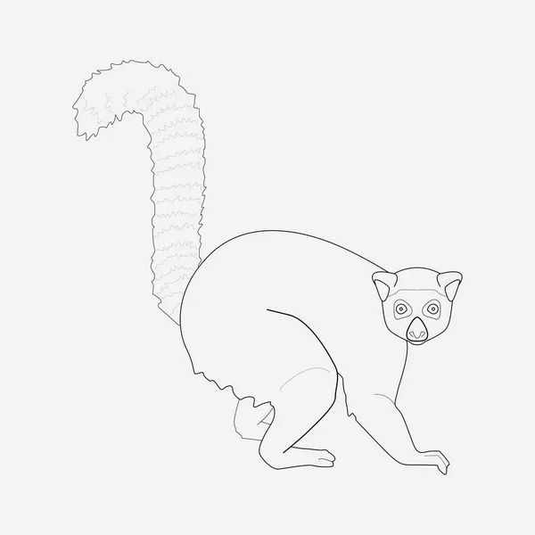Lemur Icon Line Element. Vektorillustration der Lemurensymbollinie isoliert auf sauberem Hintergrund für Ihr Web-App-Logo-Design. — Stockvektor