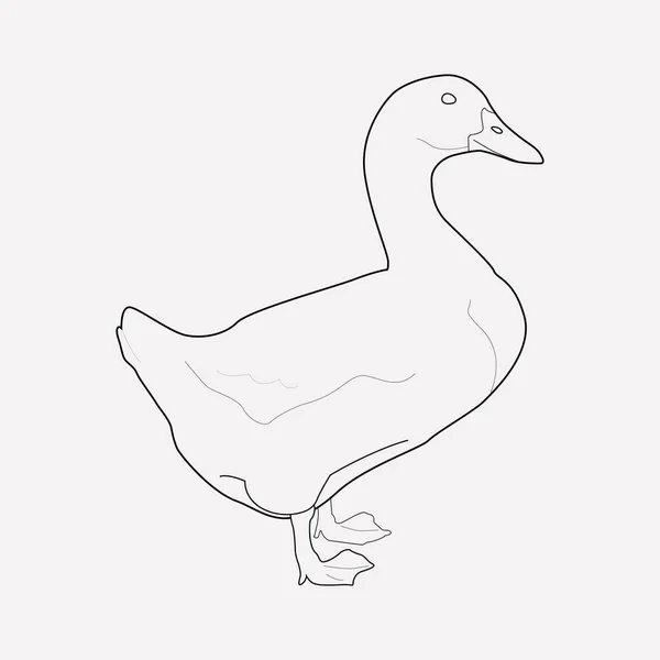 Elemento de línea de icono de pato. Ilustración vectorial de la línea de iconos de pato aislado en un fondo limpio para el diseño del logotipo de su aplicación móvil web . — Archivo Imágenes Vectoriales