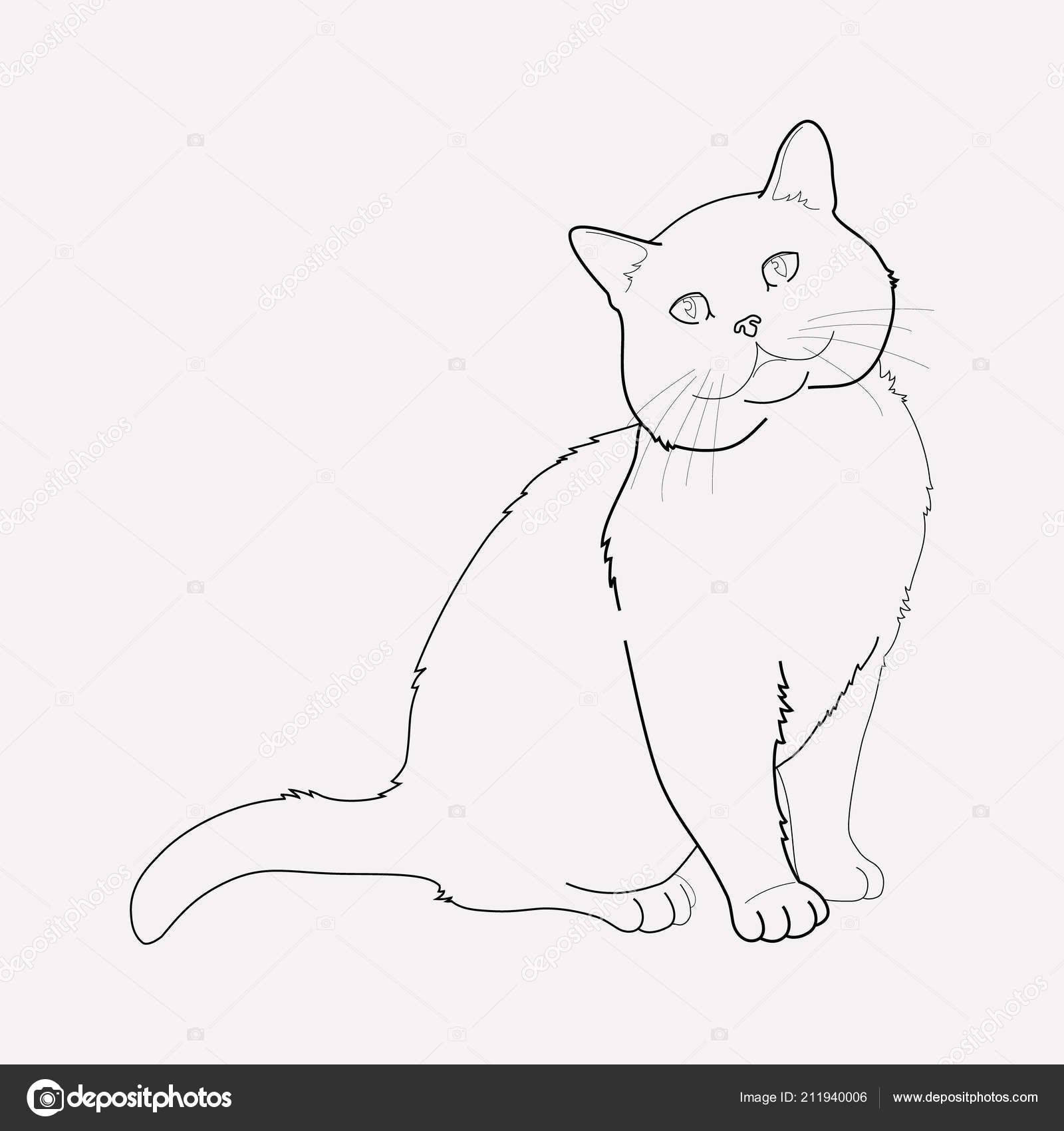 Black isolated design cat, icon vector. Illustration background