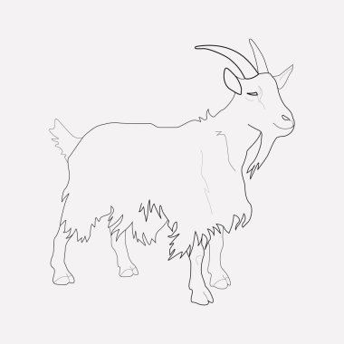 Keçi simgesi line öğesi. Keçi simgesi satır web mobil app logo tasarımı için temiz arka plan üzerinde izole vektör çizim.