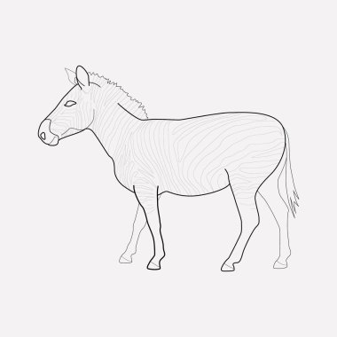 Zebra simgesi line öğesi. Zebra simgesi satır web mobil app logo tasarımı için temiz arka plan üzerinde izole vektör çizim.