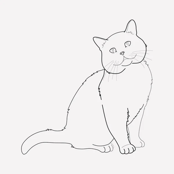 Elemento linea icona gatto. Illustrazione vettoriale della linea di icone del gatto isolata su sfondo pulito per il design del logo dell'app mobile web . — Vettoriale Stock