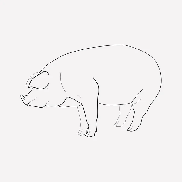 Elemento de linha de ícone de porco. Ilustração vetorial da linha de ícone de porco isolada no fundo limpo para o design do logotipo do aplicativo móvel da web . —  Vetores de Stock