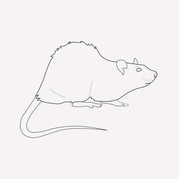 Élément de ligne d'icône de rat. Illustration vectorielle de la ligne d'icône de rat isolée sur un fond propre pour la conception du logo de votre application mobile Web . — Image vectorielle