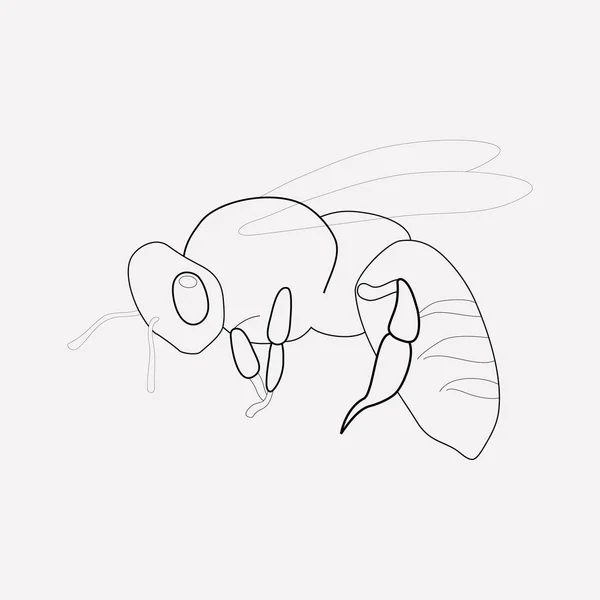 蜂アイコン ライン要素。ウェブ モバイル アプリのロゴ デザインのきれいな背景に分離された蜂アイコン ラインのベクトル イラスト. — ストックベクタ