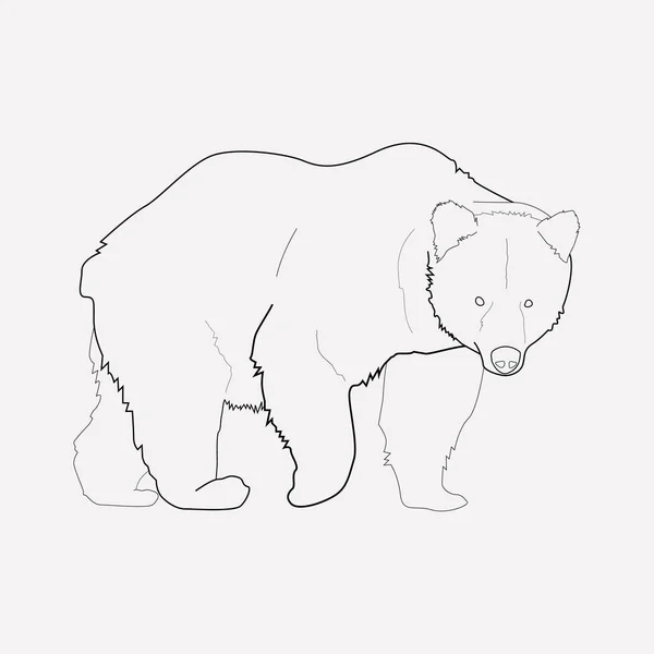 Niedźwiedź ikonę elementu line. Ilustracja wektorowa niedźwiedź linii ikona na białym tle na czyste podłoże dla projektu logo mobilnych aplikacji sieci web. — Wektor stockowy