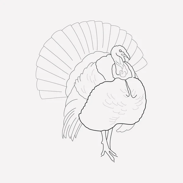 Turquía icono elemento de línea. Ilustración vectorial de la línea de iconos de pavo aislado en un fondo limpio para el diseño del logotipo de su aplicación móvil web . — Vector de stock