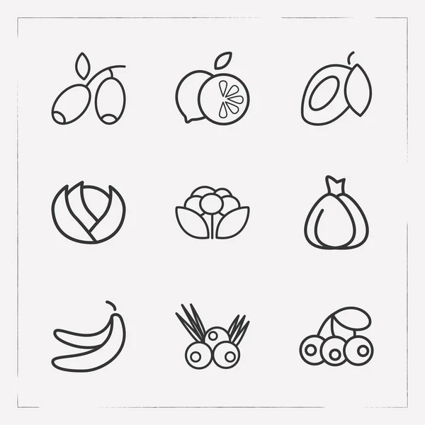 Sada berry ikony čáry styl symbolů s acai bobule, česnek, květák a další ikony pro váš web mobilní aplikace loga design. — Stockový vektor