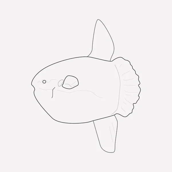 Élément de ligne icône Blowfish. Illustration vectorielle de la ligne d'icône de poisson soufflé isolée sur un fond propre pour la conception de votre logo d'application mobile Web . — Image vectorielle