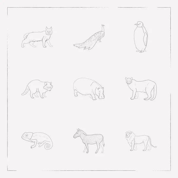 Набір піктограм зоології символів лінії стилю лінії з рисі, хіппо, лева та інших піктограм для дизайну логотипу вашого мобільного додатка . — стоковий вектор