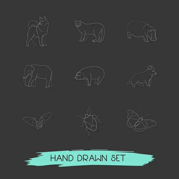 Набір піктограм зоології символів лінії стилю зі свинею, кажаном, собакою та іншими піктограмами для дизайну логотипу вашого мобільного додатка . — стоковий вектор