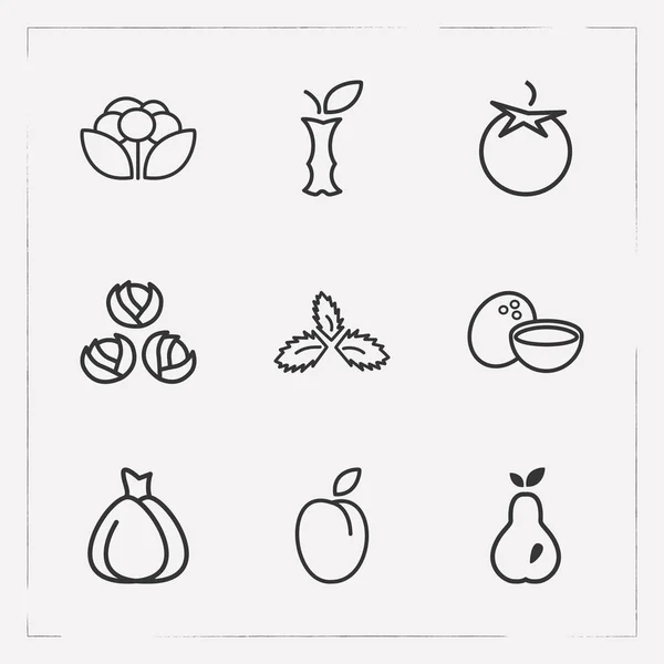 Conjunto de símbolos de estilo de línea de iconos de bayas con tomate, ciruela, pera y otros iconos para el diseño del logotipo de su aplicación móvil web . — Archivo Imágenes Vectoriales