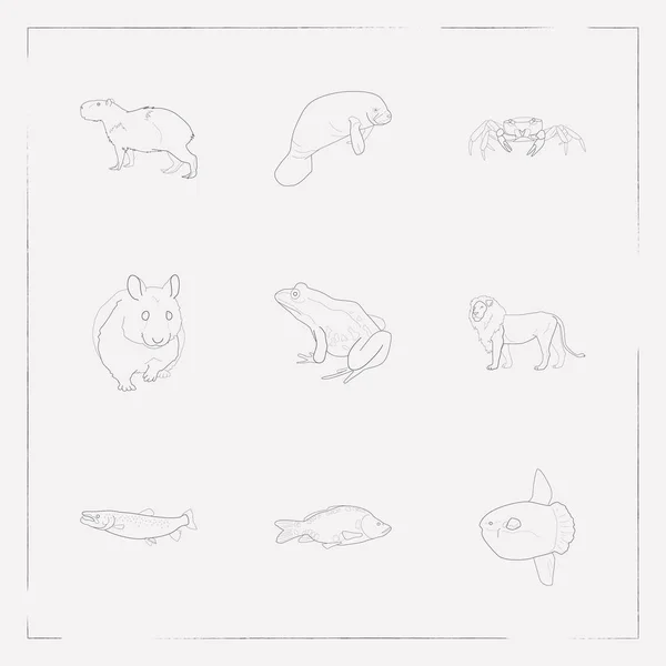 Conjunto de símbolos de estilo de línea de iconos de zoológico con rana, salmón, cangrejo y otros iconos para el diseño del logotipo de su aplicación móvil web . — Vector de stock