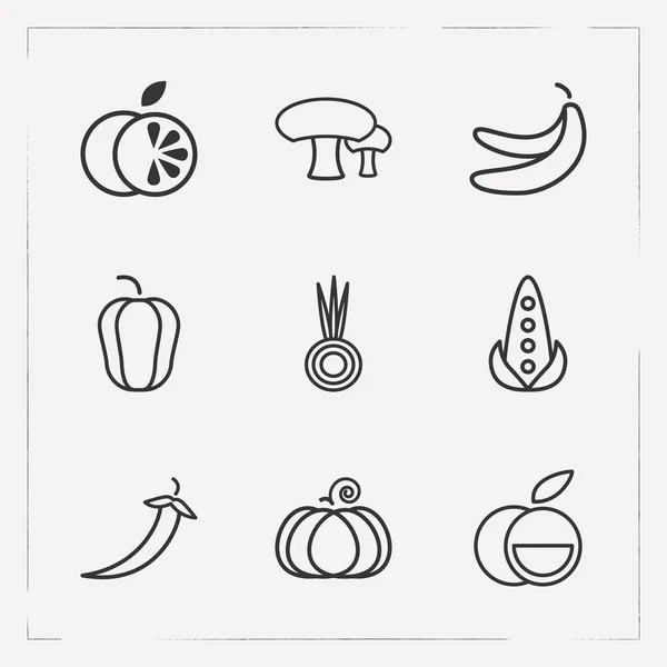 Набір символів вітамінних значків лінії стилю з помаранчевим, цибулею, перцем чилі та іншими піктограмами для дизайну логотипу вашого мобільного додатка . — стоковий вектор