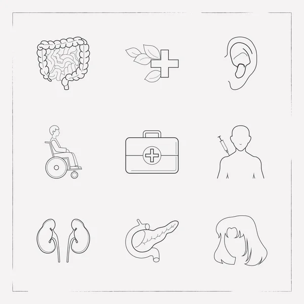 Ensemble d'icônes anatomiques symboles de style ligne avec les cheveux, l'intestin, l'oreille et d'autres icônes pour la conception du logo de votre application mobile Web . — Image vectorielle