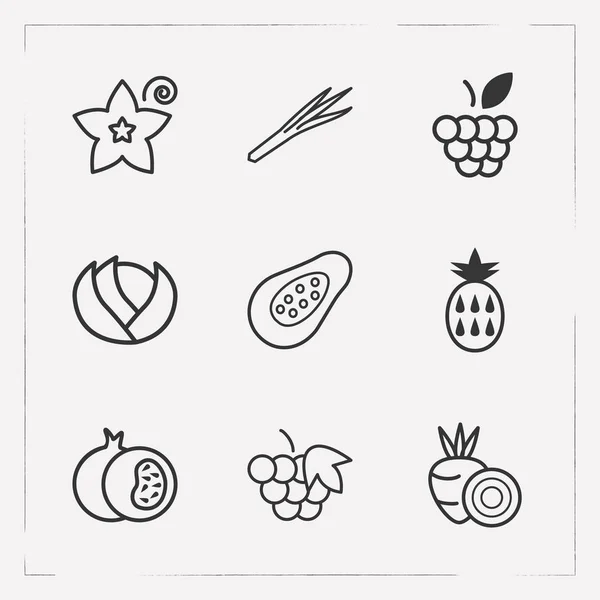 Conjunto de iconos de postre símbolos de estilo de línea con papaya, frambuesa, remolacha y otros iconos para el diseño del logotipo de su aplicación móvil web . — Archivo Imágenes Vectoriales