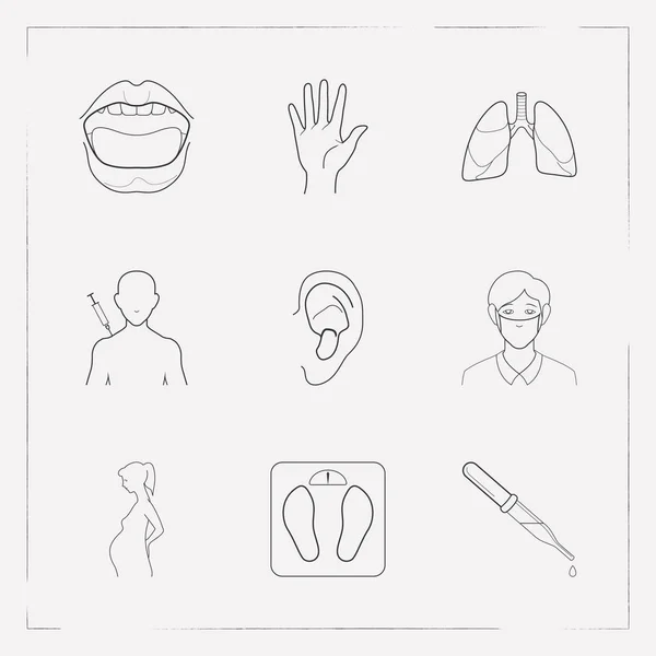 Set of anatomical icons line style symbols with mouth, pregnancy, weight scale and other icons for your web mobile app logo design. — Stock Photo, Image