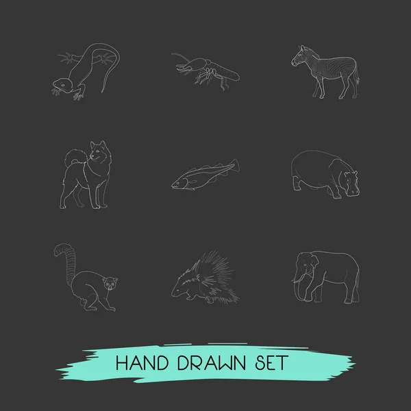 Set dierentuin pictogrammen lijn stijl symbolen met hippo, hond, lizard en andere pictogrammen voor uw web mobiele app logo ontwerp. — Stockfoto