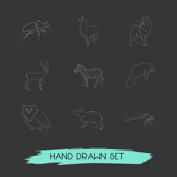 Set di icone animali in stile linea simboli con lama, mucca marina, libellula e altre icone per il vostro web mobile app logo design . — Foto Stock