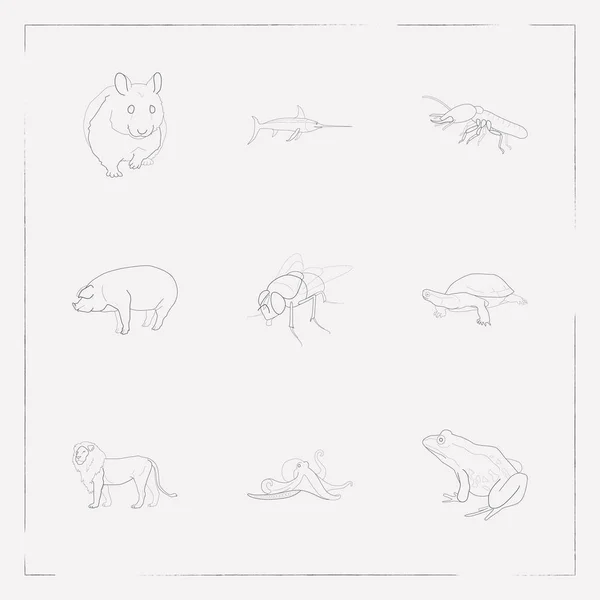 Набір живих піктограм символів лінії стилю зі свинею, мухою, жабою та іншими піктограмами для дизайну логотипу вашого мобільного додатка . — стоковий вектор