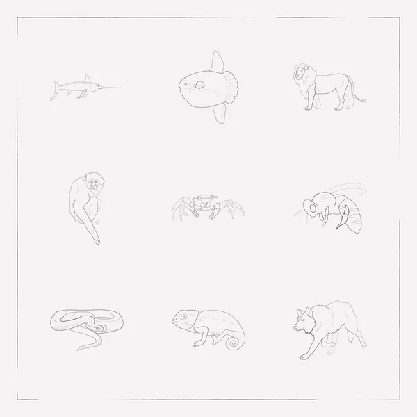 Ensemble d'icônes de zoologie symboles de style ligne avec serpent, lion, caméléon et autres icônes pour la conception de votre logo application mobile web . — Image vectorielle