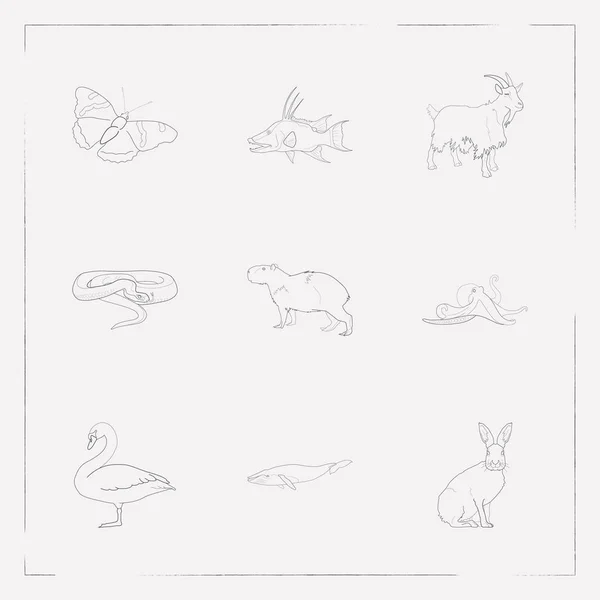 Conjunto de símbolos de estilo de línea de iconos del zoológico con mariposa, cisne, serpiente y otros iconos para el diseño del logotipo de su aplicación móvil web . — Archivo Imágenes Vectoriales