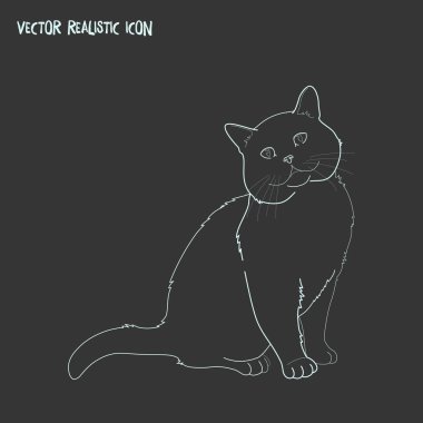 Kedi simgesi line öğesi. Web mobil app logo tasarımı için temiz arka plan üzerinde izole kedi simgesi çizgi vektör çizim.