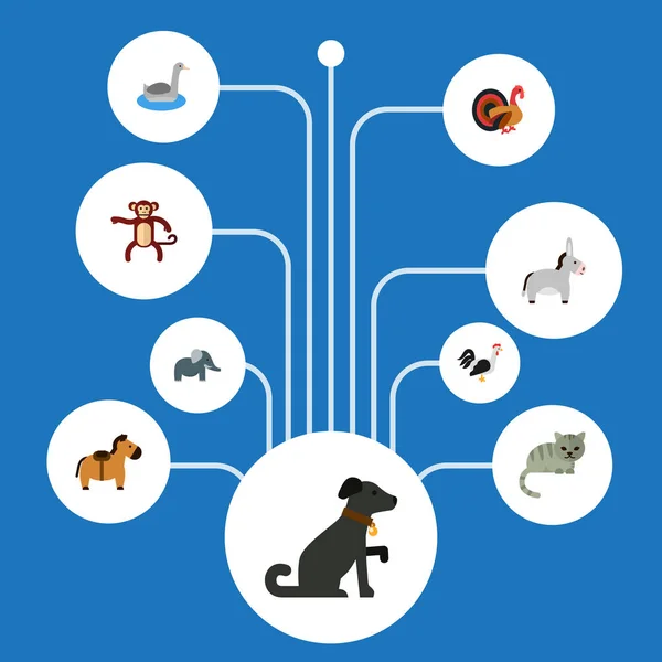 Set von Zoosymbolen flache Stilsymbole mit Katze, Elefant, Hahn und anderen Symbolen für Ihr Web-App-Logo-Design. — Stockvektor