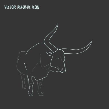 Öküz simgesi line öğesi. Öküz simgesi satır web mobil app logo tasarımı için temiz arka plan üzerinde izole vektör çizim.