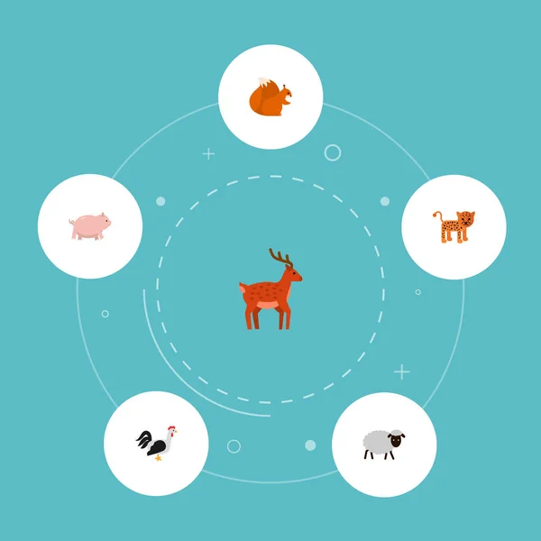 Ensemble d'icônes de zoologie symboles de style plat avec porc, écureuil, cerf et autres icônes pour la conception du logo de votre application mobile web . — Image vectorielle