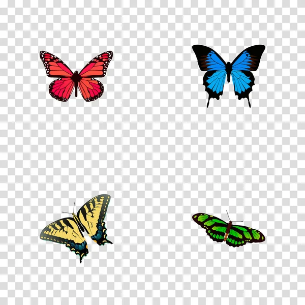 Набор реалистичных символов бабочки с розовым крылом, птичьим крылом, полиоматусом icarus и другими иконками для дизайна логотипа вашего мобильного веб-приложения . — стоковый вектор