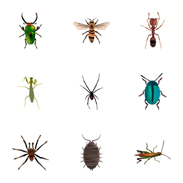 Conjunto de símbolos realistas de bugs com mantis, bugs, insetos e outros ícones para o design do logotipo do seu aplicativo móvel da web . — Fotografia de Stock