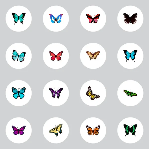 Набор реалистичных символов бабочки с полосатой пурпурной вороной, шашечной точкой, бабочкой и другими иконками для дизайна логотипа вашего мобильного приложения . — стоковое фото