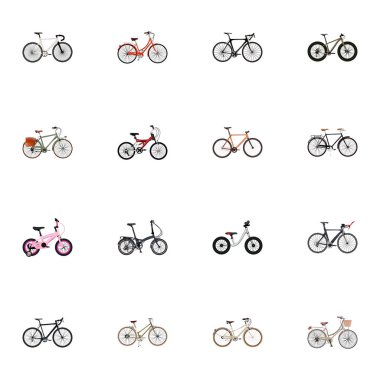 Bisiklet gerçekçi sembolleri ile denge, retro ayarla, binme ve diğer simgeler web mobil app logo tasarımı için egzersiz.