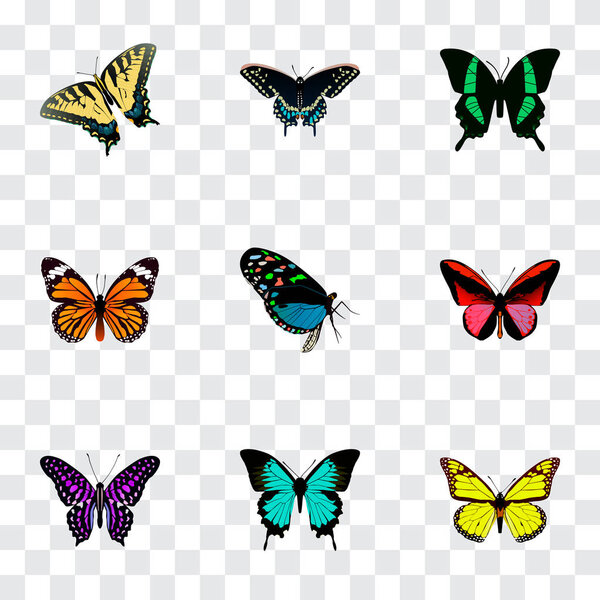 Set of beauty realistic symbols with yello-wing, danaus plexippus, tiger swallowtail and other icons for your web mobile app logo design.