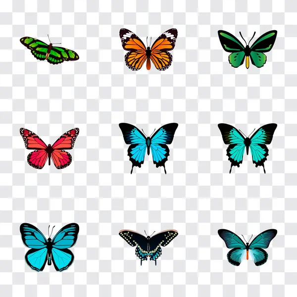 Butterfly realistiska symboler med danaus plexippus, spicebush, sky djuret och andra ikoner för din mobilapp logotyp webbdesign. — Stock vektor