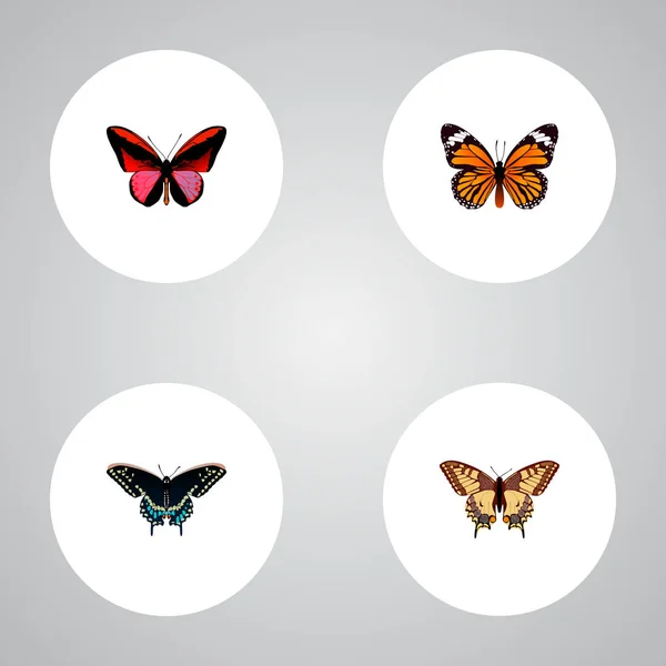 Ensemble de symboles réalistes papillon avec damier, danaus plexippus, agrias claudina et autres icônes pour la conception de logo de votre application mobile web . — Image vectorielle