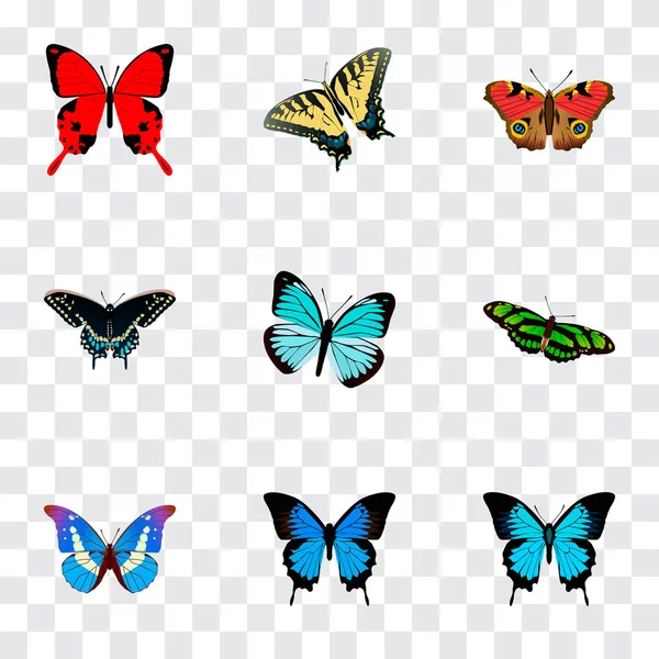 Set von realistischen Schmetterlingssymbolen mit Morpho Aega, Polyommatus Ikarus, Demophoon und anderen Symbolen für Ihr Webdesign für mobile Apps. — Stockfoto