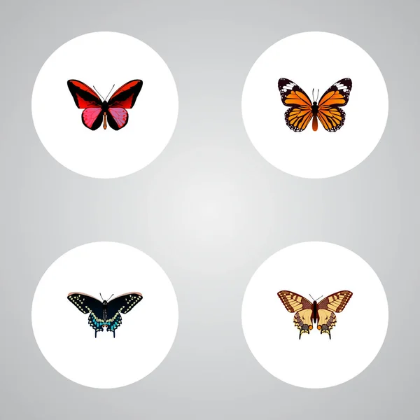 Set of butterfly realistic symbols with checkerspot, danaus plexippus, agrias claudina and other icons for your web mobile app logo design. — Stock Photo, Image