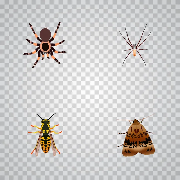 Conjunto de símbolos realistas de insectos con arácnidos, aguijón, viuda negra y otros iconos para el diseño del logotipo de su aplicación móvil web . — Archivo Imágenes Vectoriales