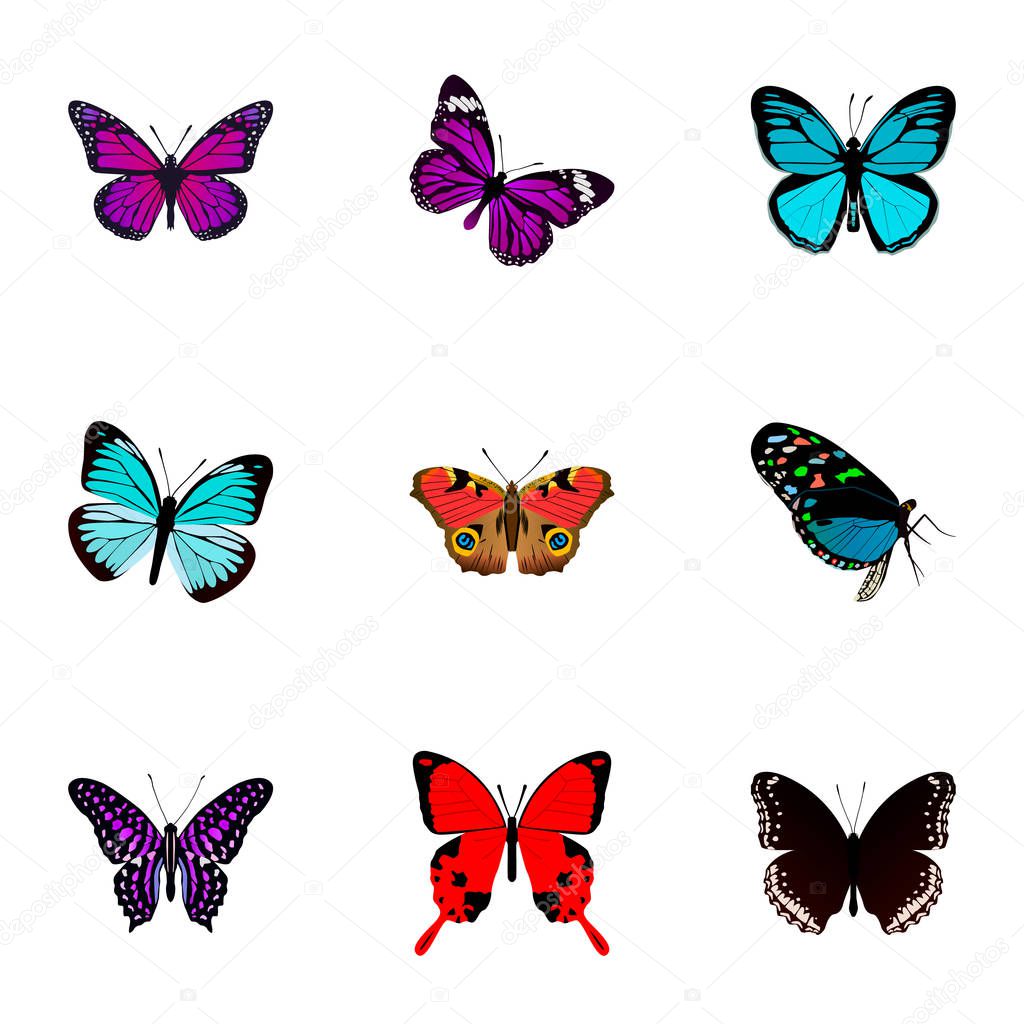 Set of butterfly realistic symbols with demophoon, striped purple crow, precis almana and other icons for your web mobile app logo design.