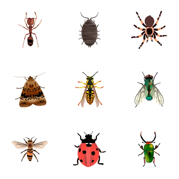 一套错误现实符号与 bug, 瓢虫, 飞蛾和其他图标为您的网络移动应用程序徽标设计. — 图库矢量图片