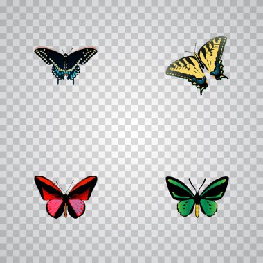 Agrias claudina ile güzellik gerçekçi sembollerin ayarla, güzellik sinek, spicebush ve diğer simgeler web mobil app logo tasarımı için.