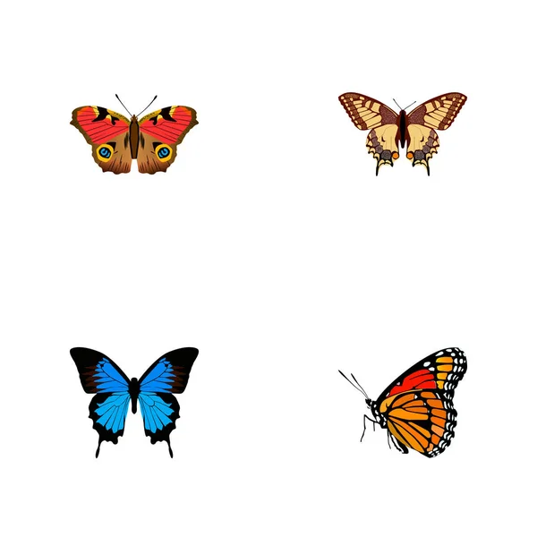Sada motýl realistické symbolů s painted lady, polyommatus icarus, Vít přepjatý a další ikony pro váš web mobilní aplikace loga design. — Stockový vektor