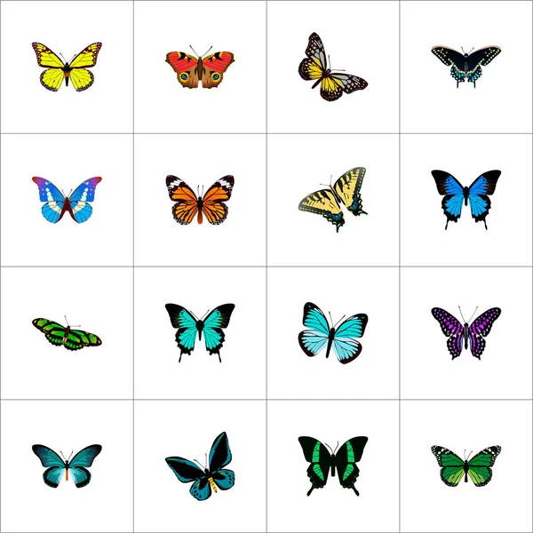 Conjunto de símbolos realistas de belleza con morpho aega, polyommatus icarus, tailed-blue y otros iconos para el diseño del logotipo de su aplicación móvil web . — Foto de Stock